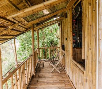 Studio with Garden View