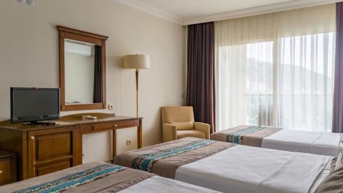 Double or Twin Room with Mountain View