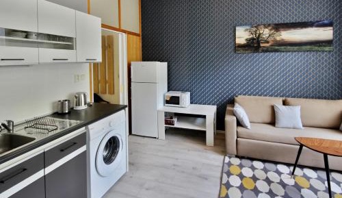 Deluxe One-Bedroom Apartment