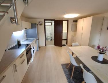 One-Bedroom Apartment with Lake View
