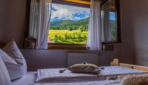 One-Bedroom Apartment with Balcony and Mountain View  
