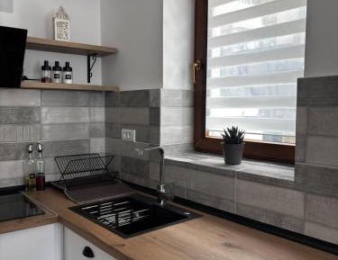 One-Bedroom Apartment with Garden