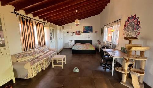 One-Bedroom House