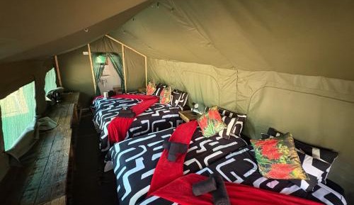 Standard Tent