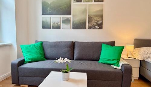 One-Bedroom Premium Apartment