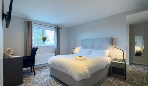 Deluxe King Room