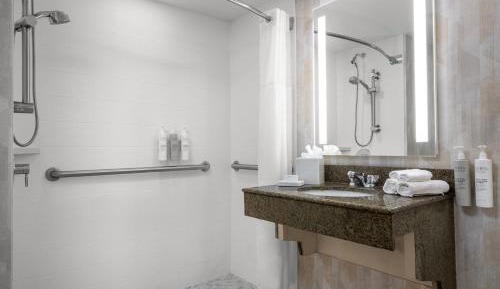 Accessible Room, 1 Double Bed (Mobility Tub)