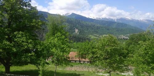Twin Room with Mountain View
