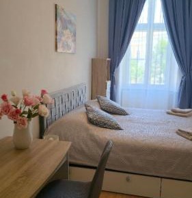 Deluxe One-Bedroom Apartment with City View