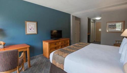 Standard Queen Room with Two Queen Beds and Woods/Forest View - Non-Smoking