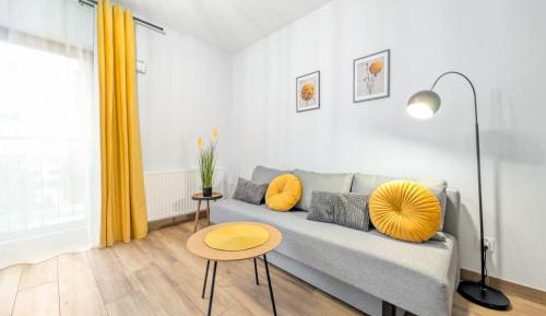 Studio with Sofa Bed