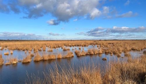 Three-Bedroom Apartment with Shower