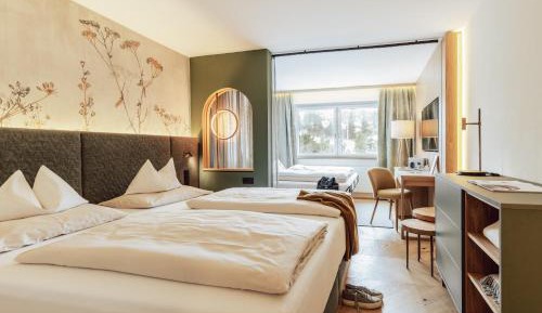 Deluxe Double or Twin Room