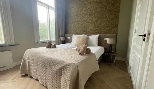 Standard Suite