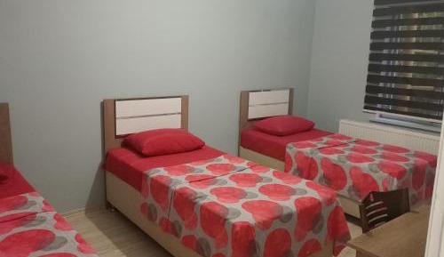 Basic Triple Room with Shared Bathroom