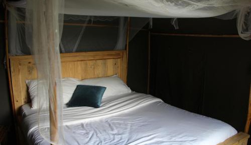 Budget Single Room