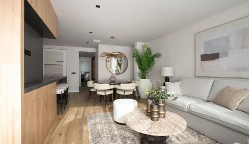Penthouse Apartment