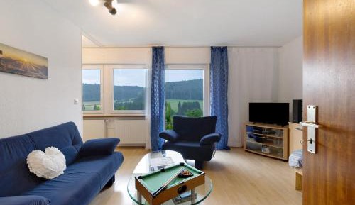 Superior One-Bedroom Apartment