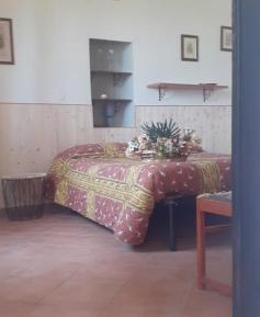 Room #175501010