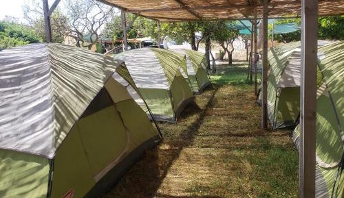 Tent