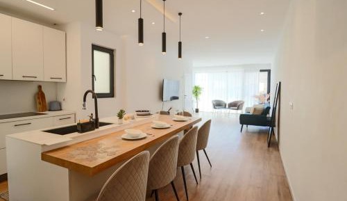 Penthouse Apartment