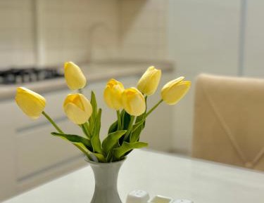Suite Apartment