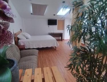 King Studio with Sofa Bed