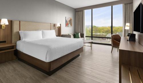 Premium King Room with Mountain View