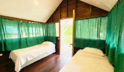4-Bed Mixed Dormitory Room