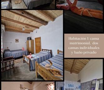 Comfort Quadruple Room