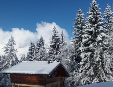 One-Bedroom Chalet