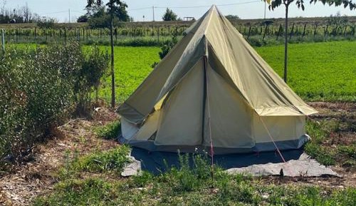 Tent