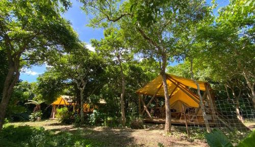 Tent