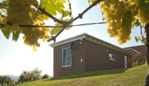 One-Bedroom Holiday Home
