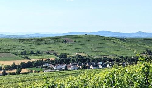 One-Bedroom Holiday Home