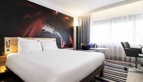 Superior Queen Room