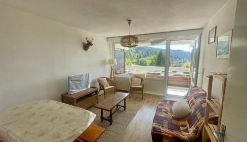 One-Bedroom Apartment with Balcony and Mountain View  