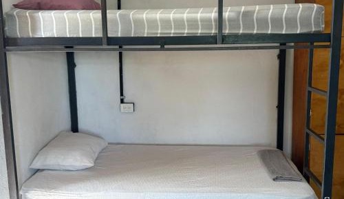 Bed in 4-Bed Dormitory Room