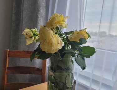 Room #1496133801