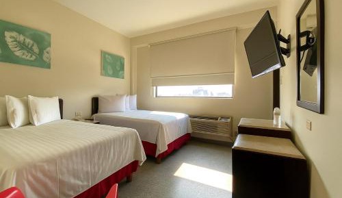 Double Room with View