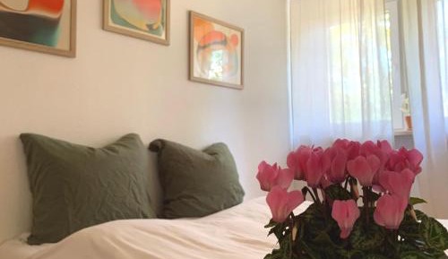 Double Room with Shared Bathroom