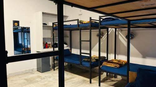 Bed in 10-Bed Mixed Dormitory Room