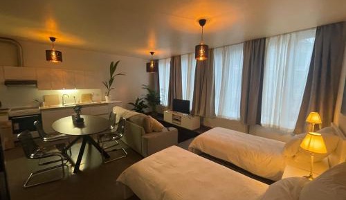 Deluxe One-Bedroom Apartment