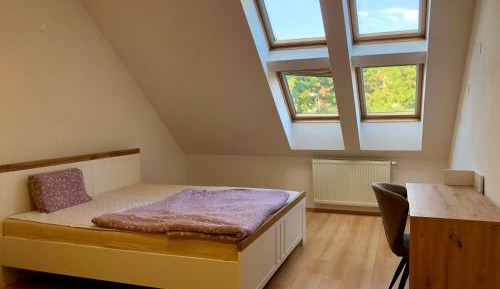 Large Double Room