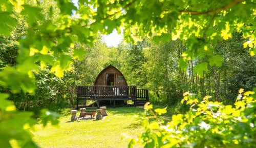 Standard Cabin with Hot Tub