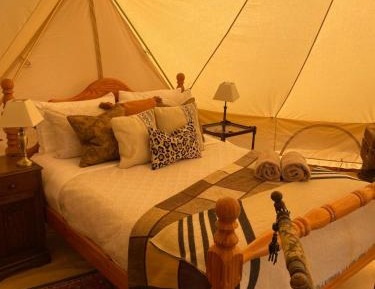 Tent