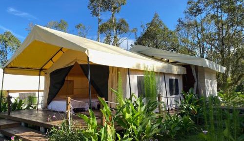 Safari Garden Tent