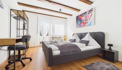 Three-Bedroom Apartment with View