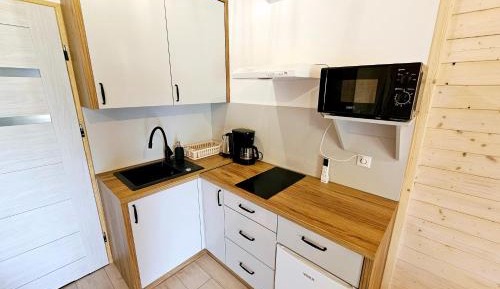 Deluxe One-Bedroom Apartment