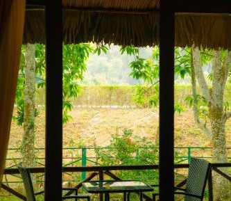 Deluxe Double or Twin Room with Garden View